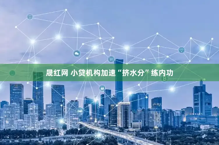 晟红网 小贷机构加速“挤水分”练内功